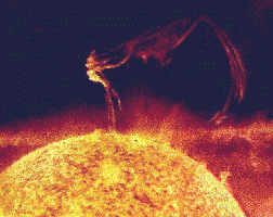 The sun